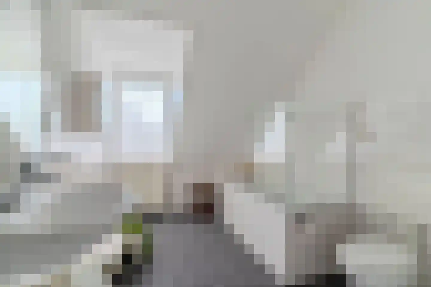 Zijthorst 16 Diessen thumbnail 36