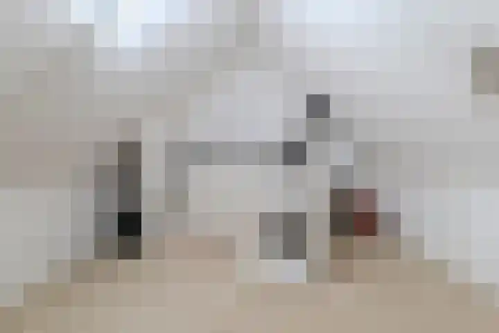 Zijthorst 16 Diessen thumbnail 37