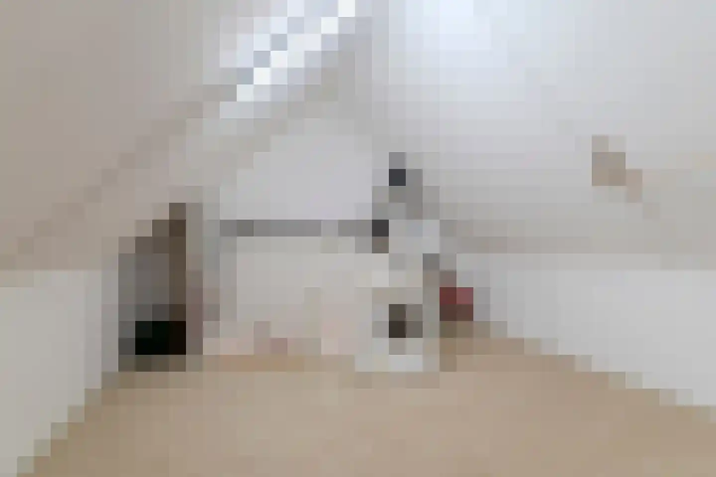 Zijthorst 16 Diessen thumbnail 39