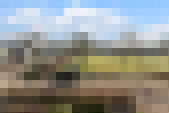 Zijthorst 16 Diessen thumbnail 41
