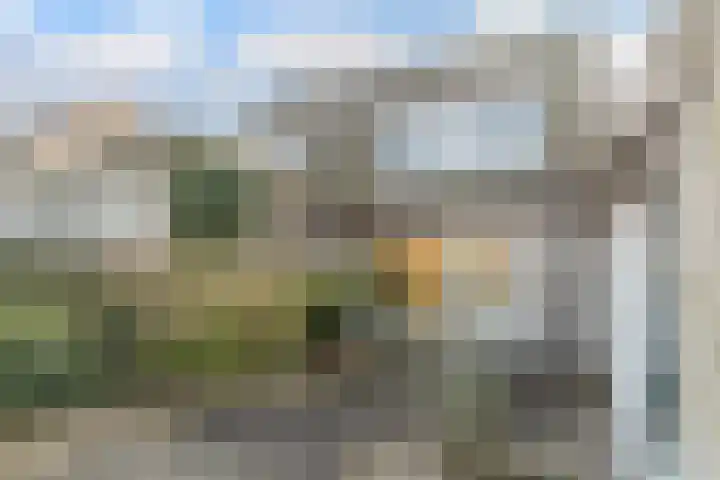 Zijthorst 16 Diessen thumbnail 43
