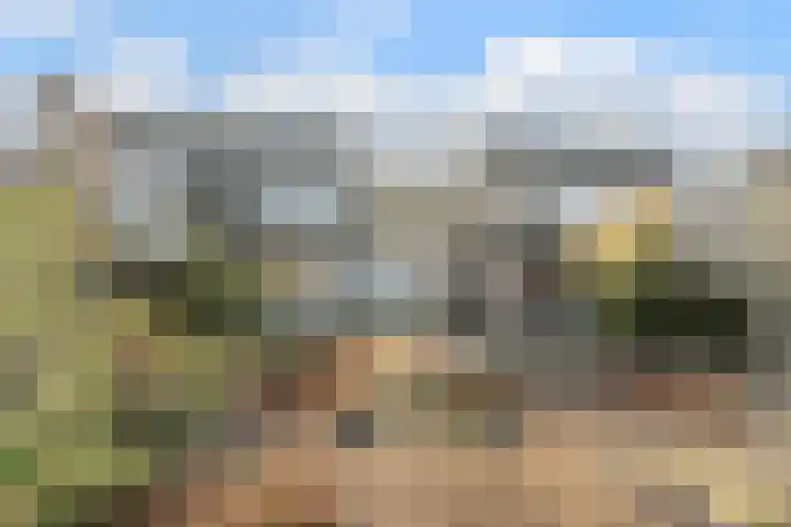 Zijthorst 16 Diessen thumbnail 44