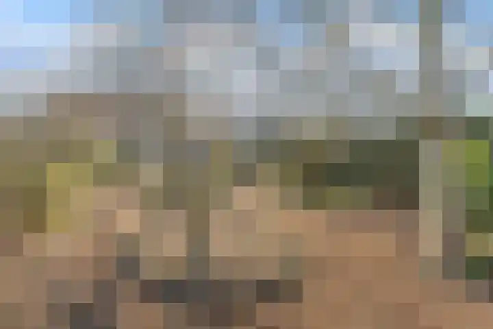 Zijthorst 16 Diessen thumbnail 45