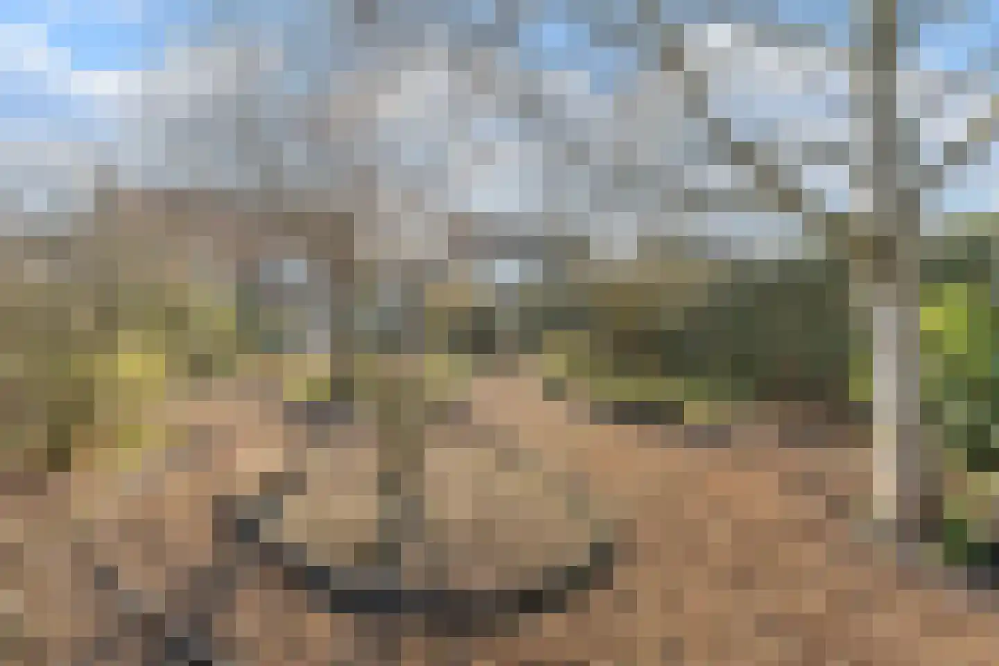 Zijthorst 16 Diessen thumbnail 45