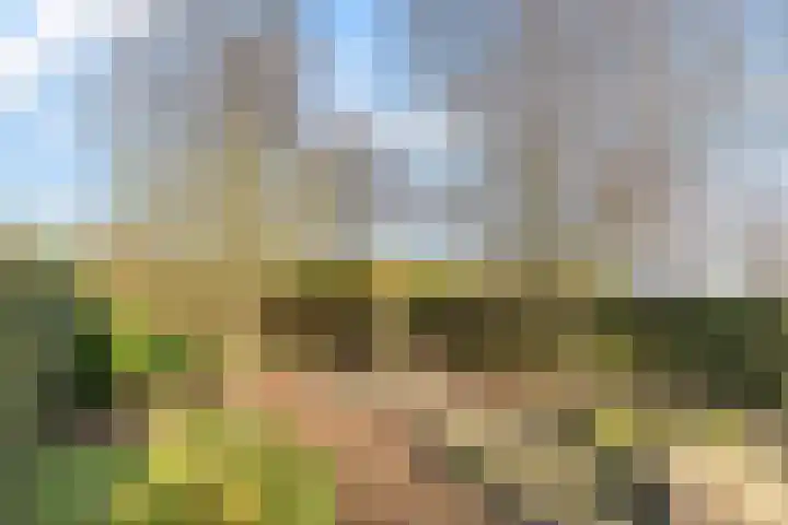 Zijthorst 16 Diessen thumbnail 46
