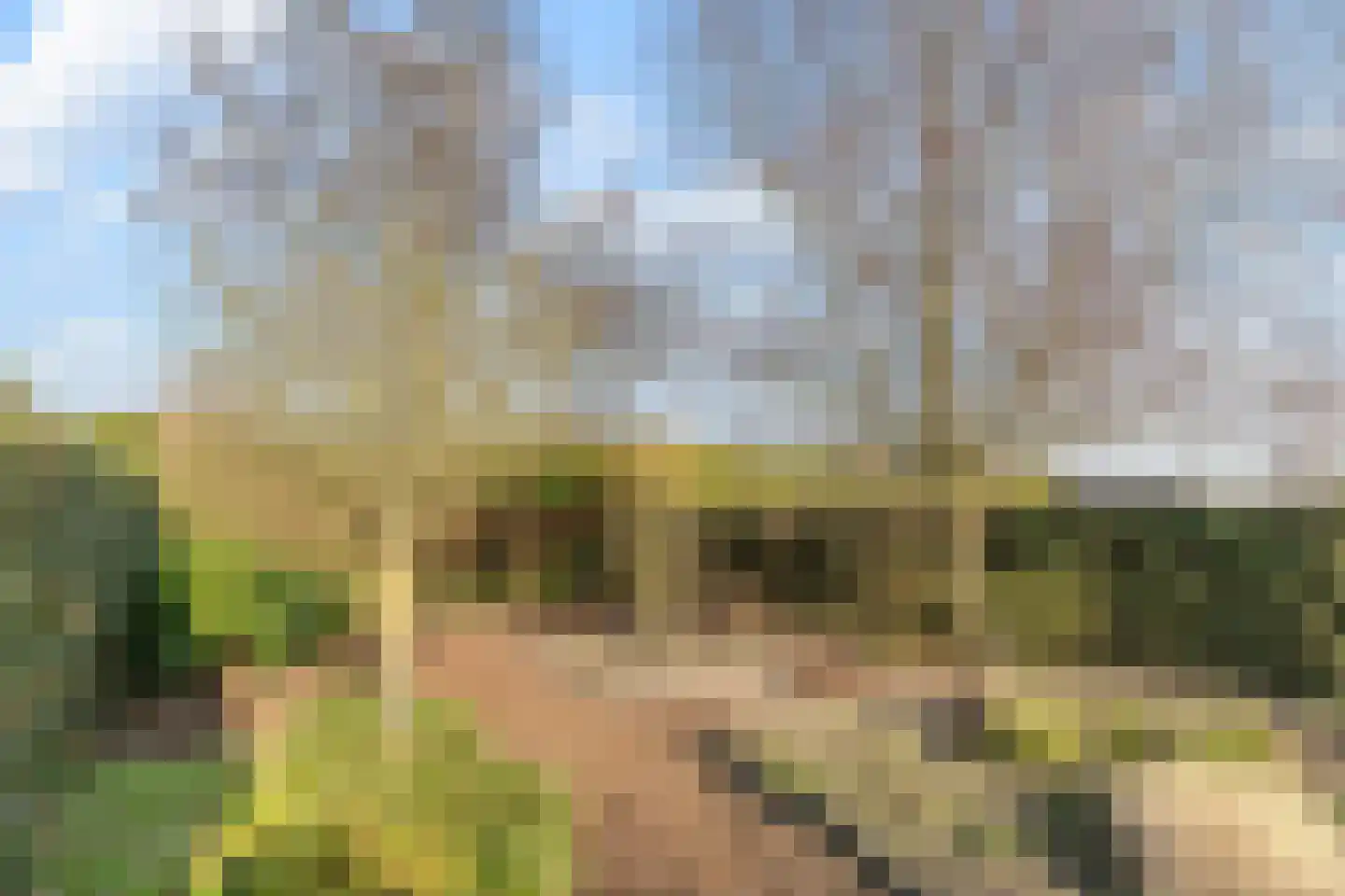 Zijthorst 16 Diessen thumbnail 46