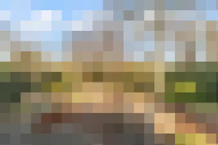 Zijthorst 16 Diessen thumbnail 48