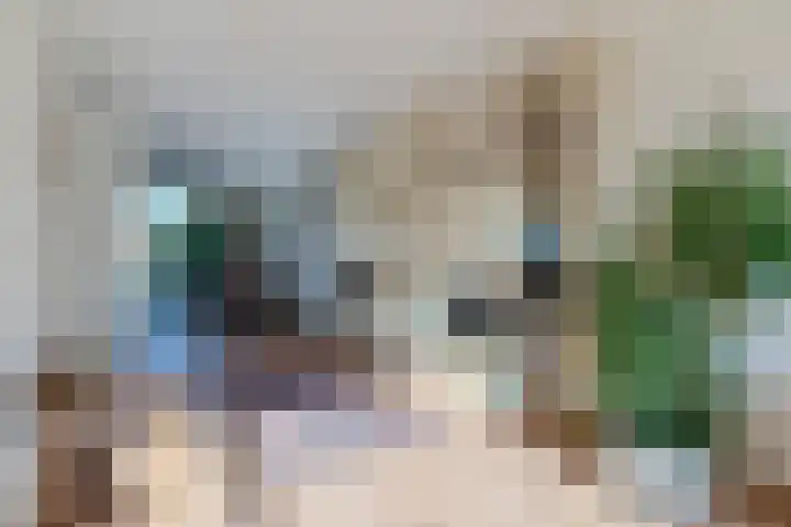 Zijthorst 16 Diessen thumbnail 5