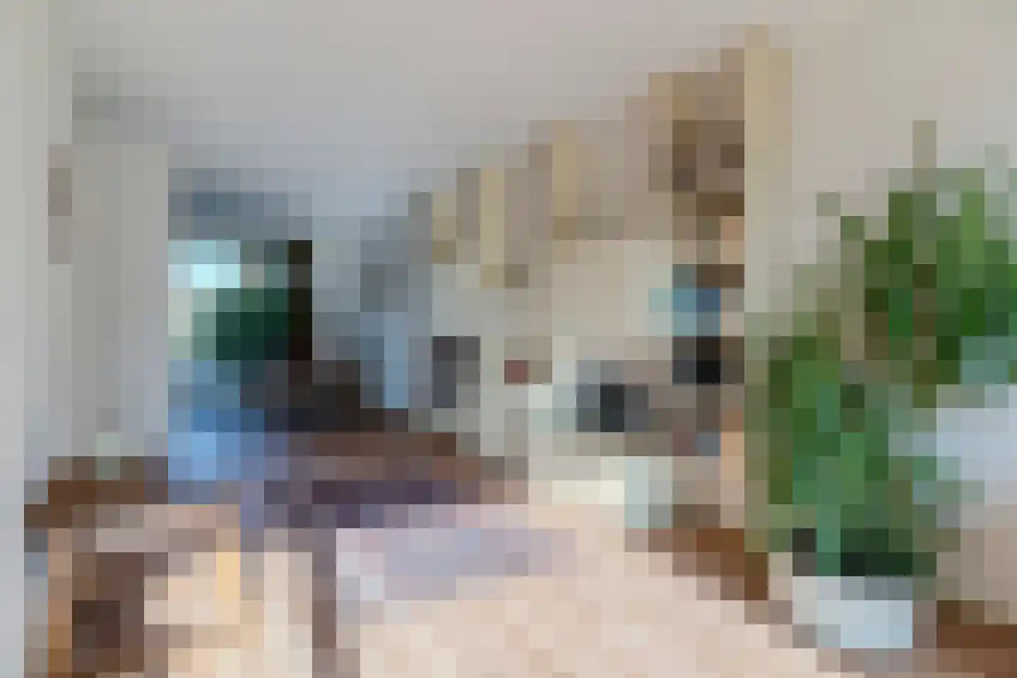 Zijthorst 16 Diessen thumbnail 5