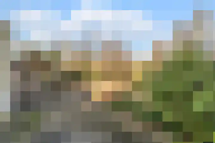 Zijthorst 16 Diessen thumbnail 50