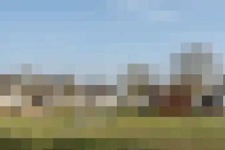 Zijthorst 16 Diessen thumbnail 52
