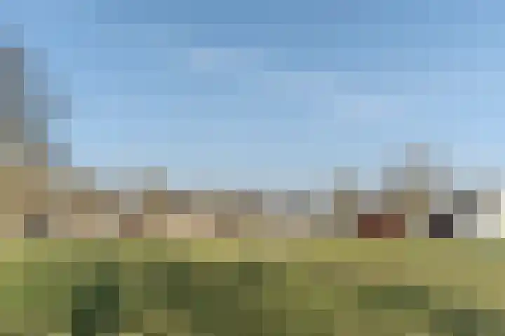 Zijthorst 16 Diessen thumbnail 53