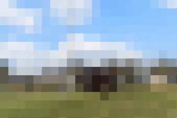 Zijthorst 16 Diessen thumbnail 55