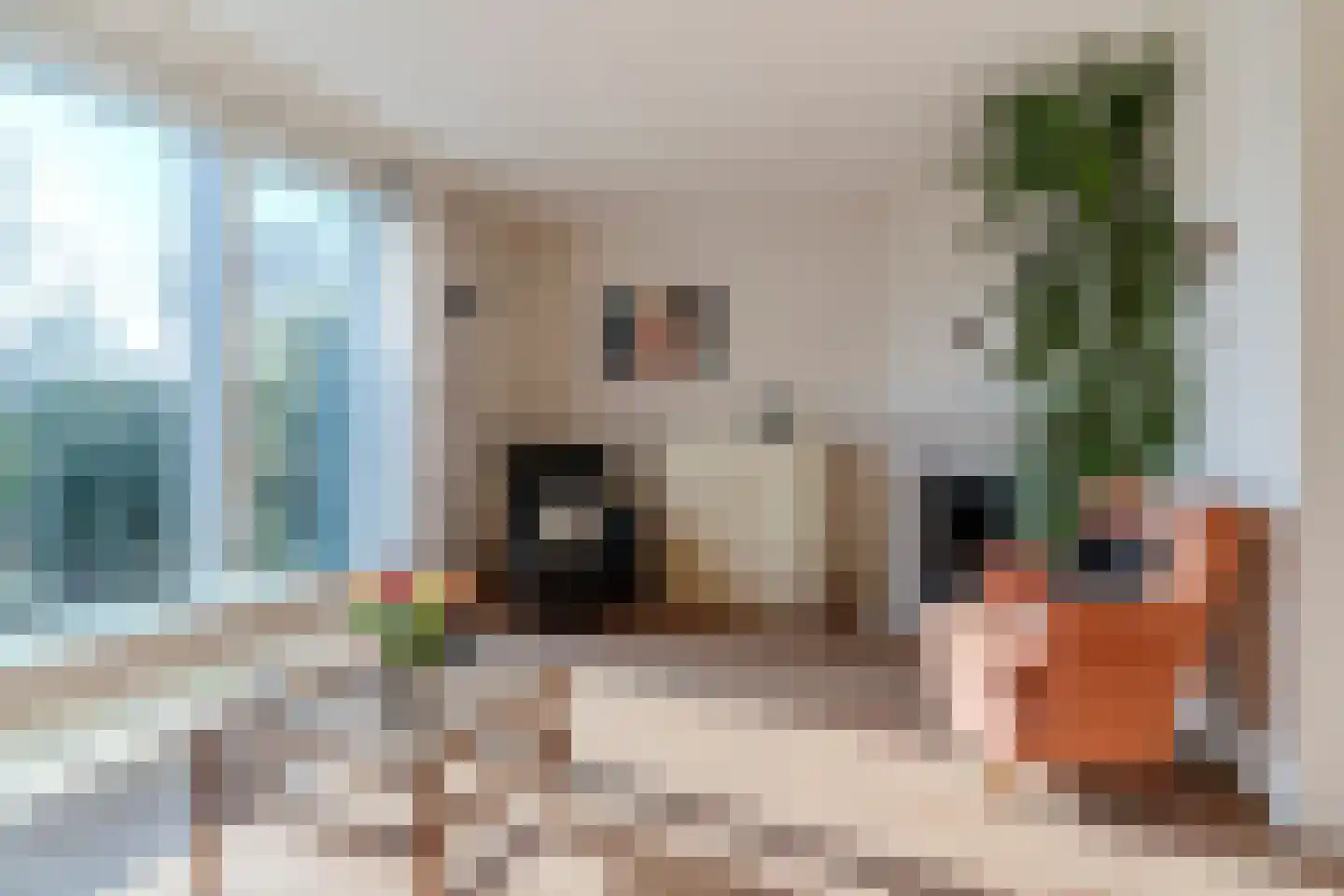 Zijthorst 16 Diessen thumbnail 8