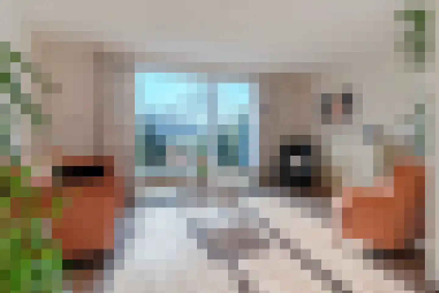 Zijthorst 16 Diessen thumbnail 9