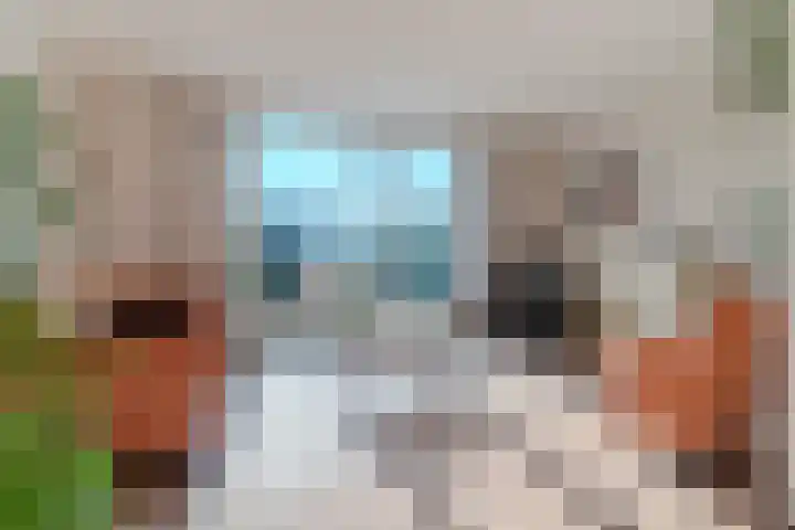 Zijthorst 16 Diessen thumbnail 9