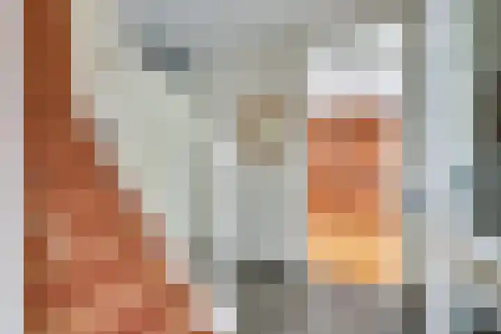 Zijthorst 21 Diessen thumbnail 11
