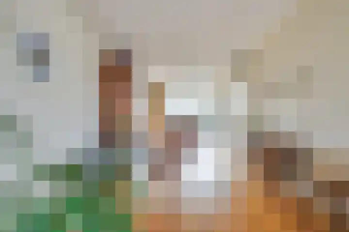 Zijthorst 21 Diessen thumbnail 14