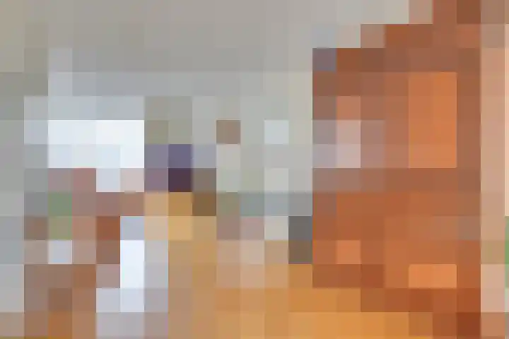 Zijthorst 21 Diessen thumbnail 15