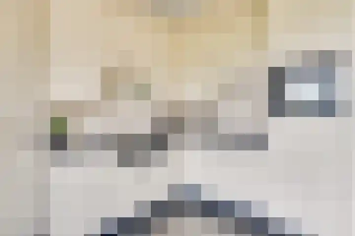 Zijthorst 21 Diessen thumbnail 17