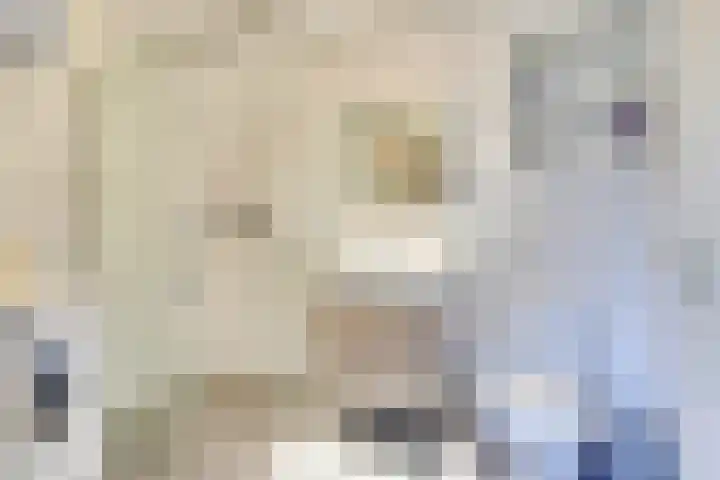 Zijthorst 21 Diessen thumbnail 20