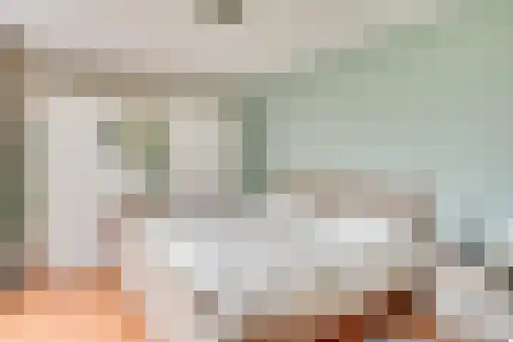Zijthorst 21 Diessen thumbnail 22