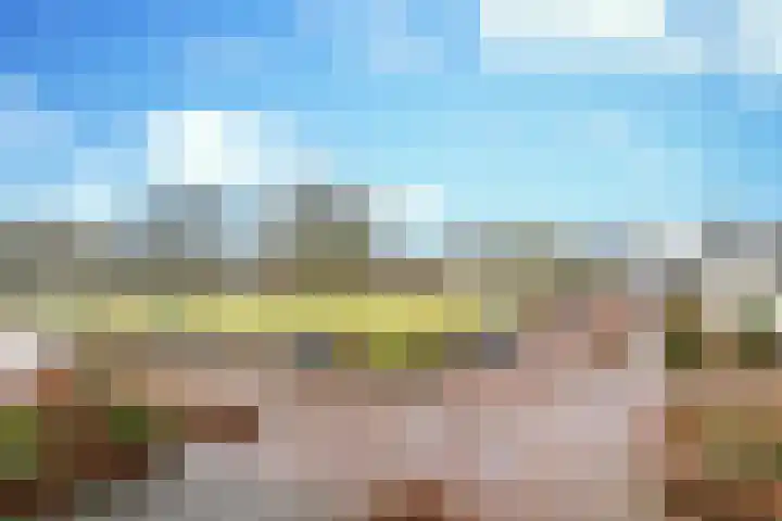 Zijthorst 21 Diessen thumbnail 31