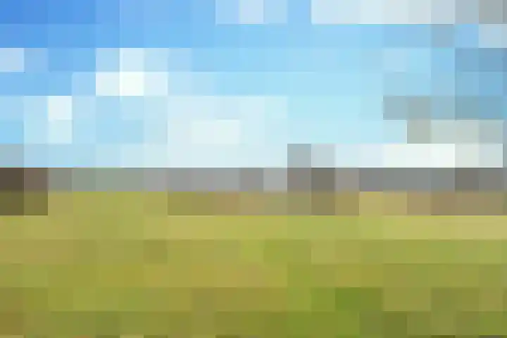 Zijthorst 21 Diessen thumbnail 38