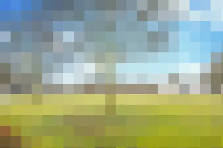 Zijthorst 21 Diessen thumbnail 39