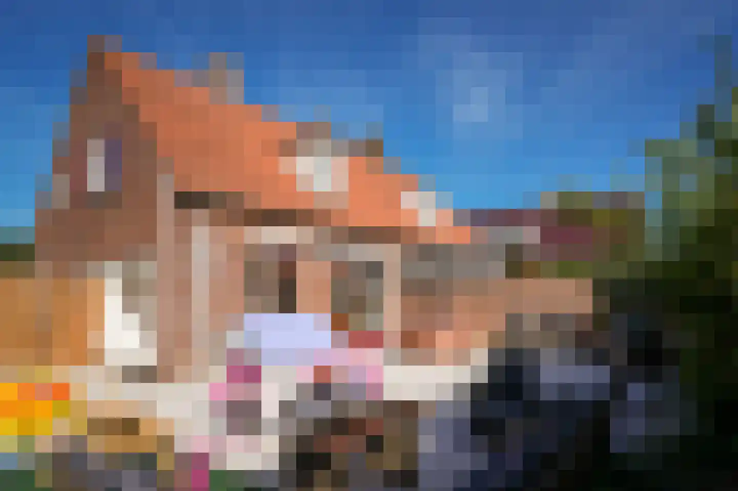 Zijveld 35 Beneden-Leeuwen thumbnail 32