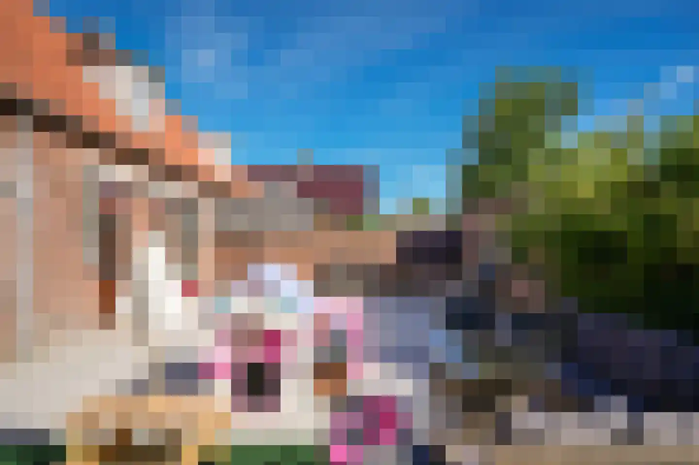 Zijveld 35 Beneden-Leeuwen thumbnail 36