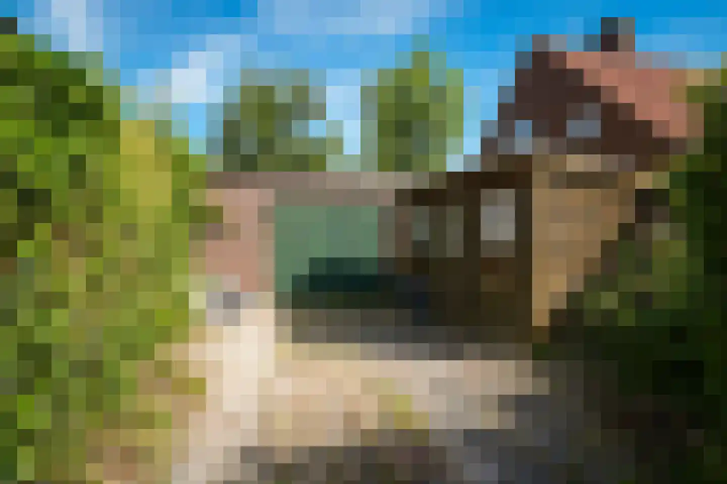 Zijveld 35 Beneden-Leeuwen thumbnail 46