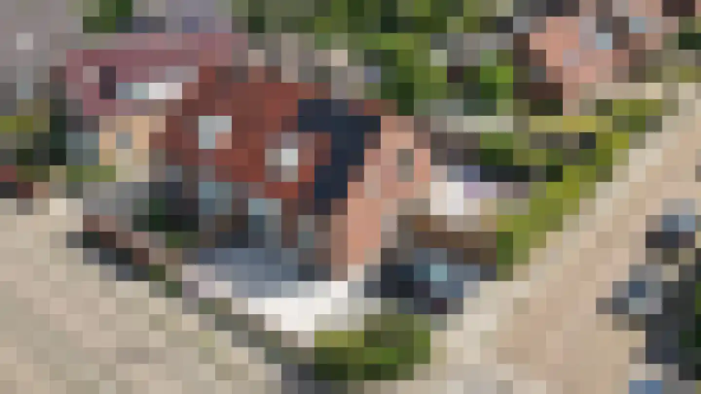 Zijveld 35 Beneden-Leeuwen thumbnail 50