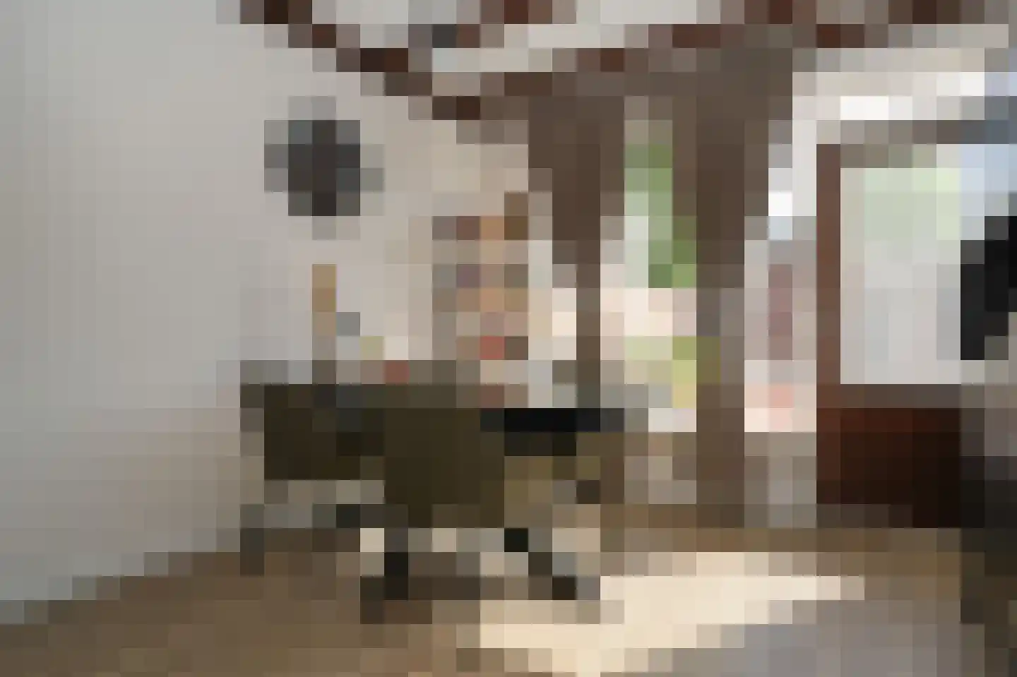 Zijveld 35 Beneden-Leeuwen thumbnail 7