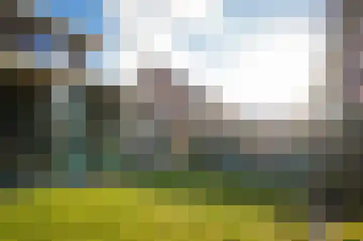 Zijveld 60 b Beneden-Leeuwen thumbnail 44