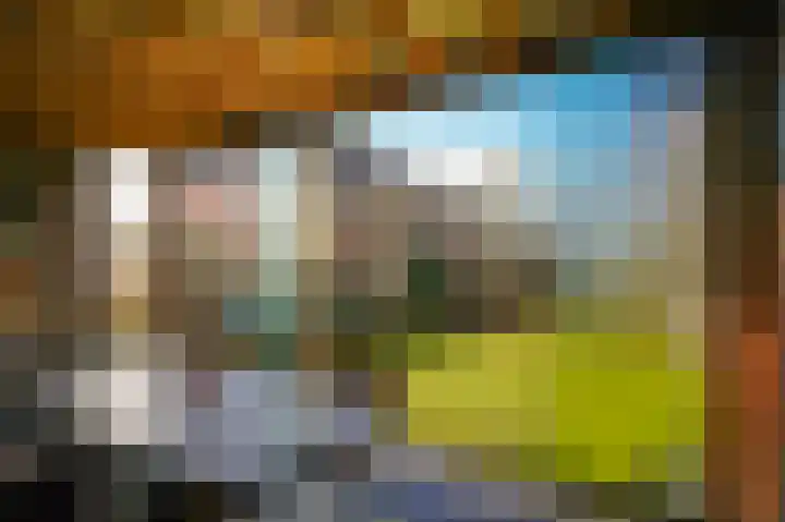 Zijveld 60 b Beneden-Leeuwen thumbnail 6