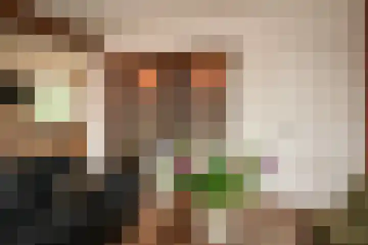 Zijveld 89 Beneden-Leeuwen thumbnail 12