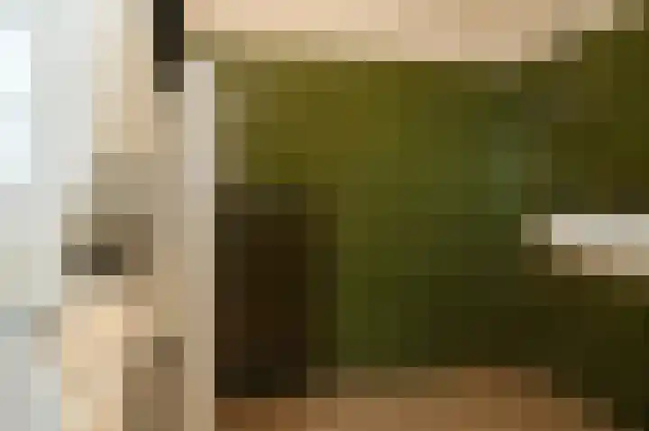 Zijveld 89 Beneden-Leeuwen thumbnail 21