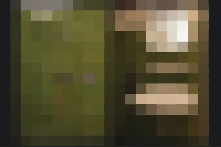 Zijveld 89 Beneden-Leeuwen thumbnail 22