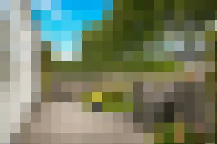 Zijveld 89 Beneden-Leeuwen thumbnail 34