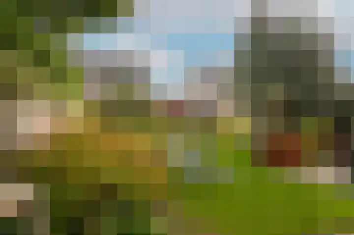Zijveld 89 Beneden-Leeuwen thumbnail 35