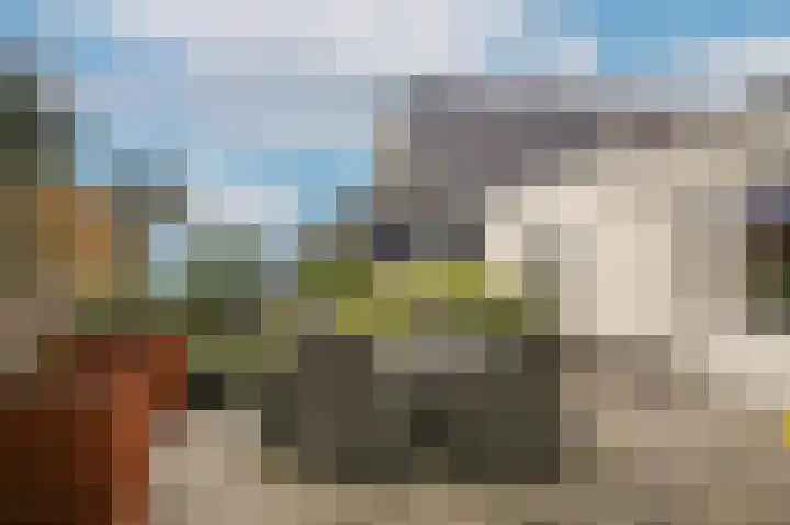 Zijveld 89 Beneden-Leeuwen thumbnail 36
