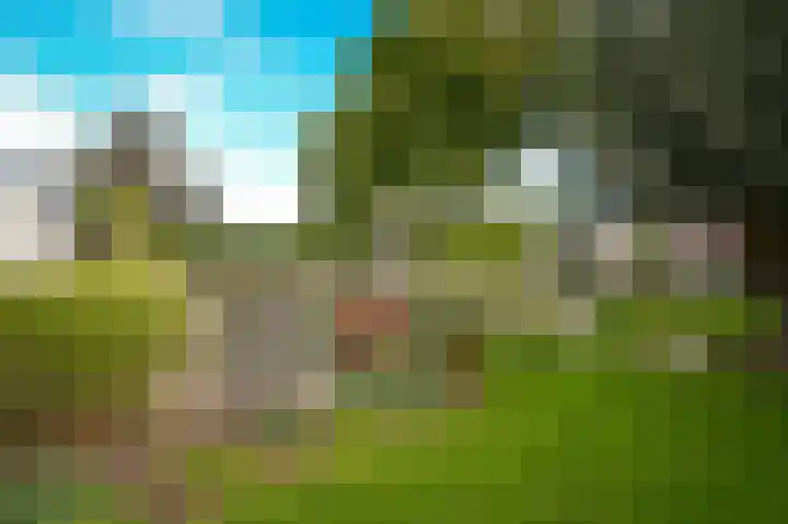 Zijveld 89 Beneden-Leeuwen thumbnail 37