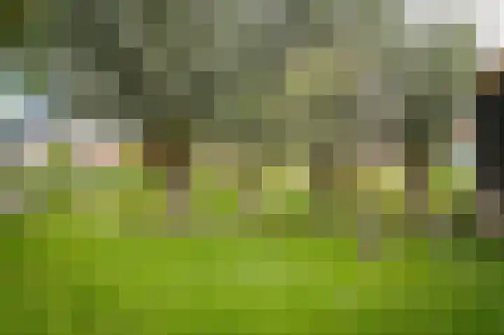 Zijveld 89 Beneden-Leeuwen thumbnail 38