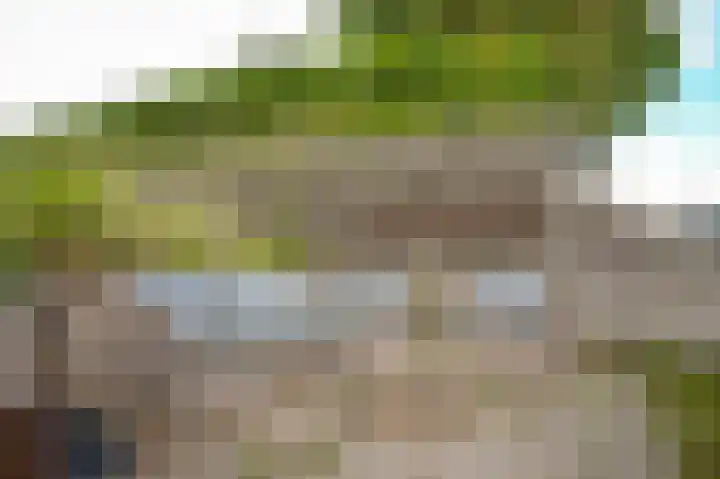 Zijveld 89 Beneden-Leeuwen thumbnail 39