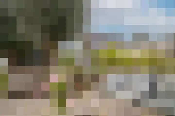Zijveld 89 Beneden-Leeuwen thumbnail 40