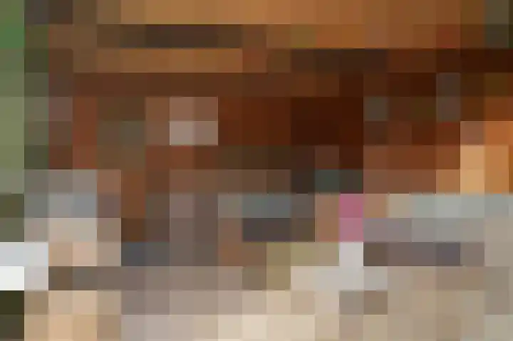 Zijveld 89 Beneden-Leeuwen thumbnail 41