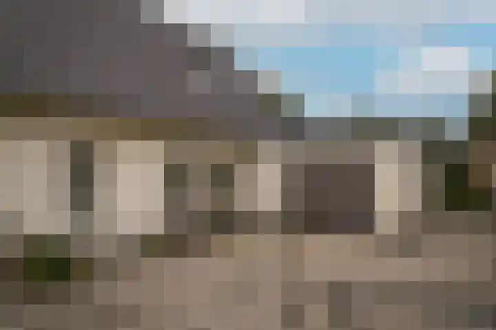 Zijveld 89 Beneden-Leeuwen thumbnail 42