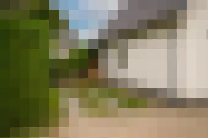 Zijveld 89 Beneden-Leeuwen thumbnail 45
