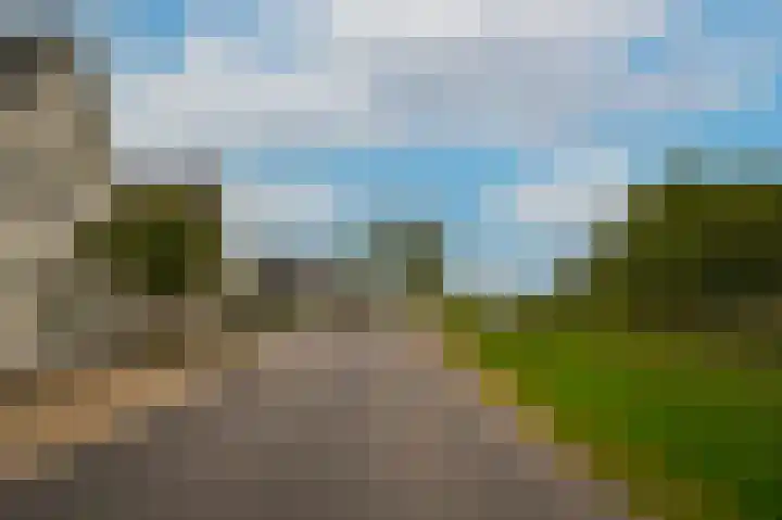 Zijveld 89 Beneden-Leeuwen thumbnail 46
